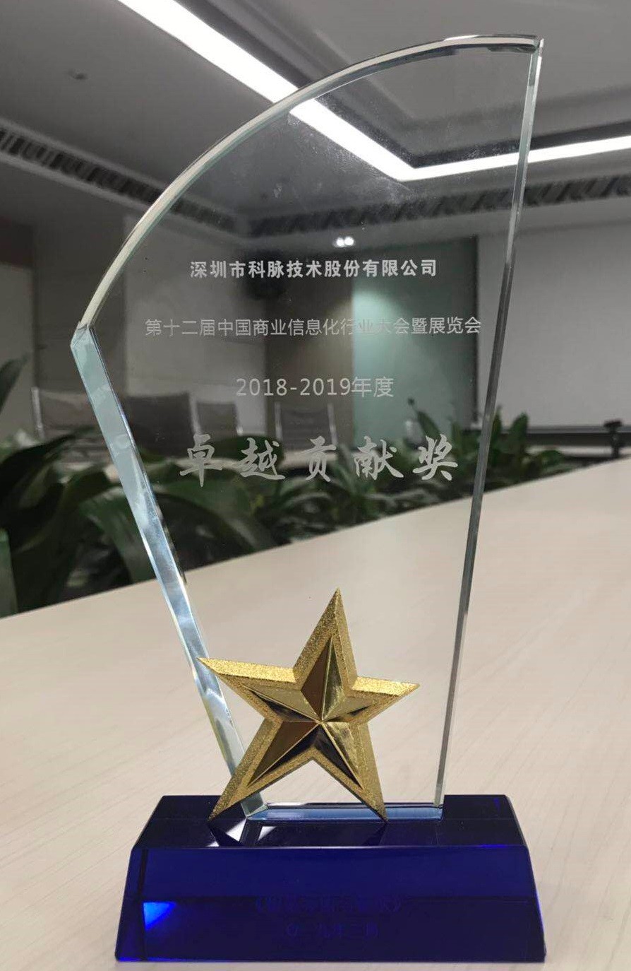 第十二届中国商业信息化行业大会-卓越贡献奖