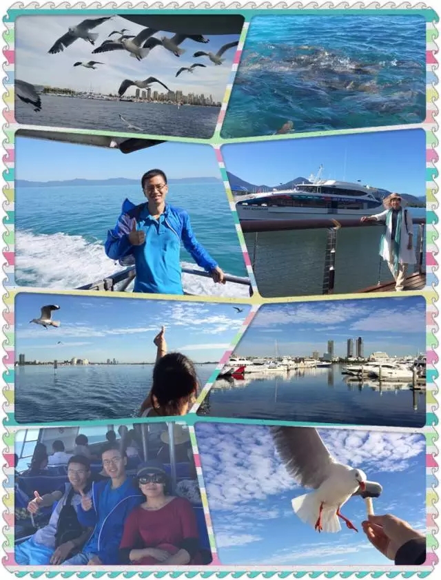 科脉资深员工澳洲蔚蓝之旅 科脉资深员工澳洲蔚蓝之旅