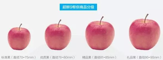 生鲜超市管理专家