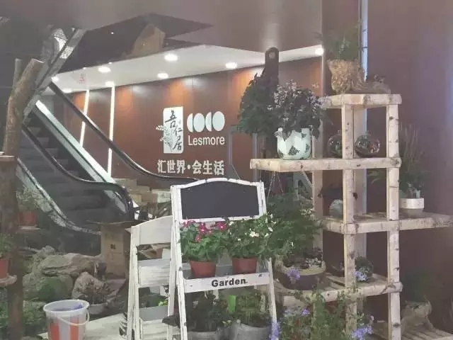 科脉·蛙笑