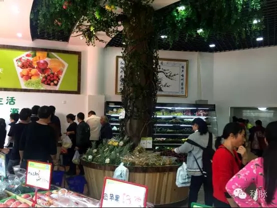 科脉超鲜商业管理软件V9 科脉超鲜商业管理软件V9