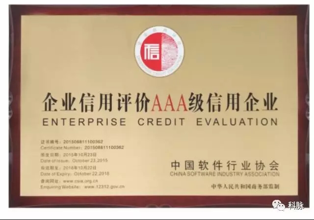 软件企业 软件企业
