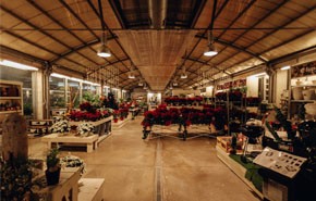 超市收银软件_超市收银软件哪家好？科脉