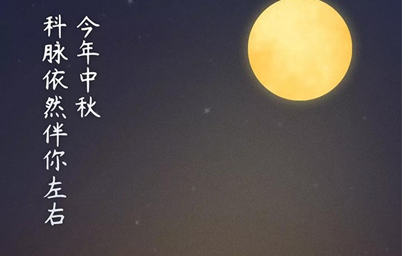 有你陪伴 皆是团圆