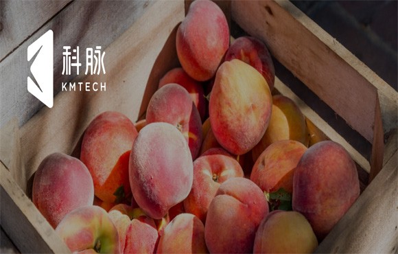 一码拯救亿万农民滞销之苦