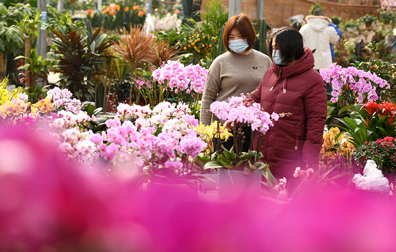 开家鲜花店要投资多少钱？鲜花店成本分析