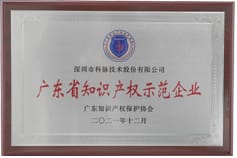 广东省知识产权示范企业