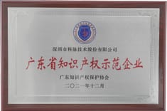 广东省知识产权示范企业