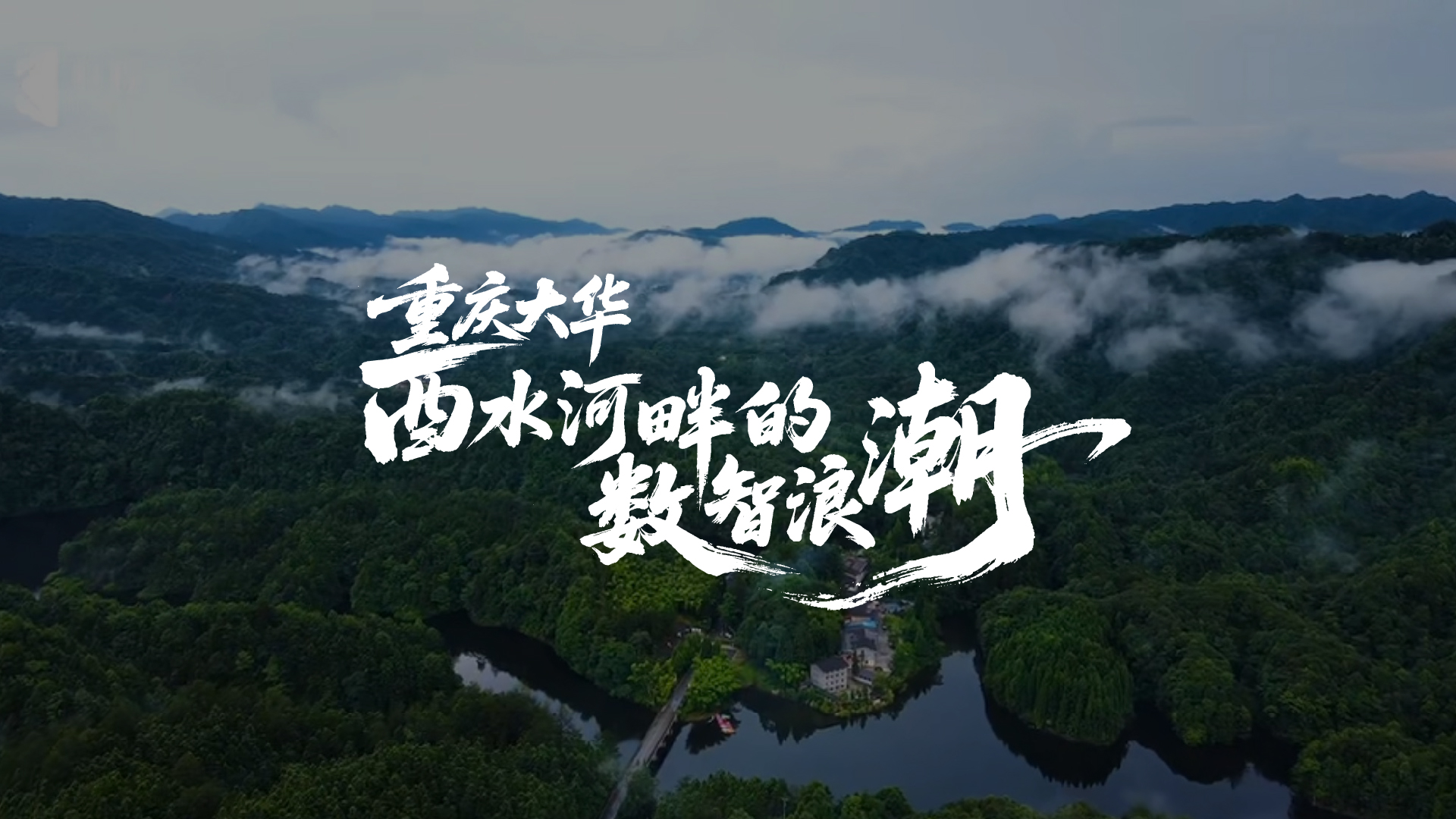 科脉客户案例片——《大华超市》